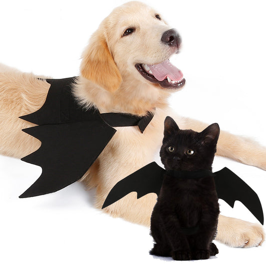 Halloween Fladdermöss vingar för hund eller katt